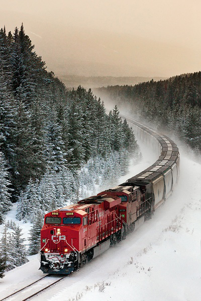 风雪兼程。摄影：Matthew Hicks。January 20, 2012。加拿大，阿尔伯塔省，Lake Louise。