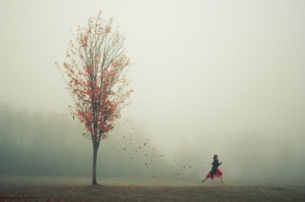 Elizabeth Gadd 呼吸自然 (自然 摄影 宁静 和谐 Elizabeth Gadd )