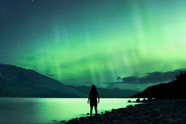 Elizabeth Gadd 呼吸自然 (自然 摄影 宁静 和谐 Elizabeth Gadd )