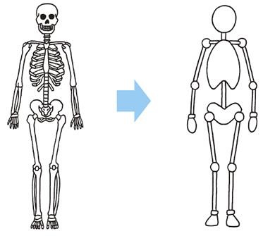 身体描绘要领是——骨架 人 的肢体动作基本上可以用骨架的动作来