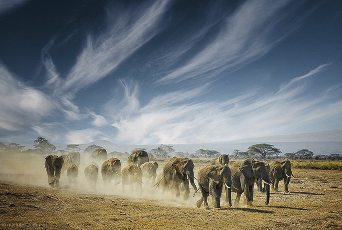 a very long thinking by Mathilde Guillemot